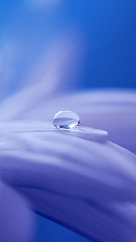 278021206_10225472232290356_1827789005744410613_n